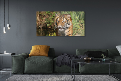 Glass print Tiger woods