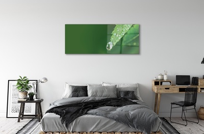 Glass print Water drop leaf