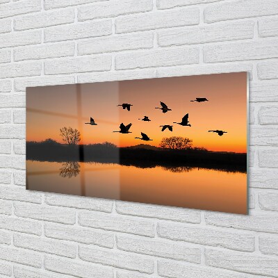 Glass print Sunset flying birds