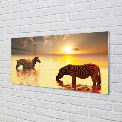 Glass print Sunset water zebras