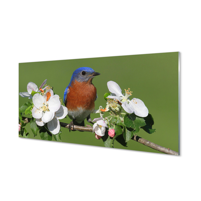 Glass print Flowers colorful parrot