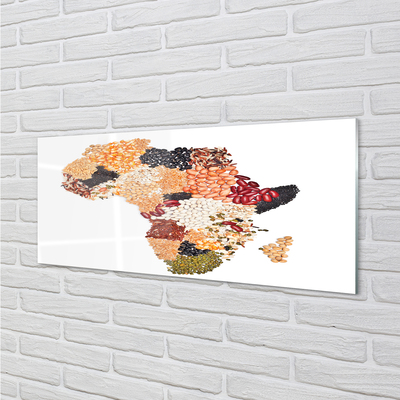 Glass print Spices map