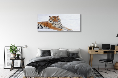 Glass print Tiger winter