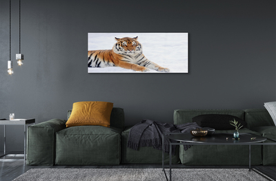 Glass print Tiger winter