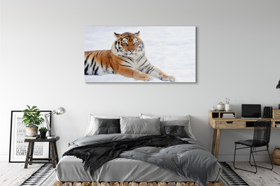 Glass print Tiger winter