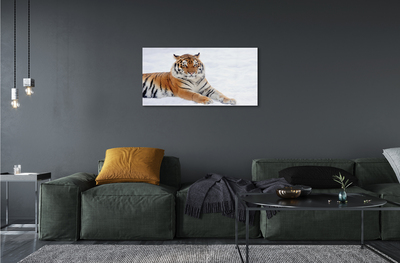 Glass print Tiger winter