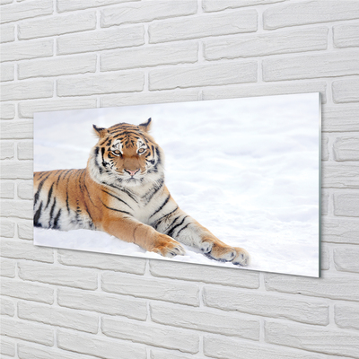 Glass print Tiger winter