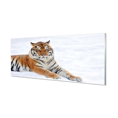 Glass print Tiger winter