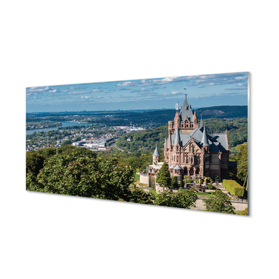 Glass print Germany panorama of the castle of the city