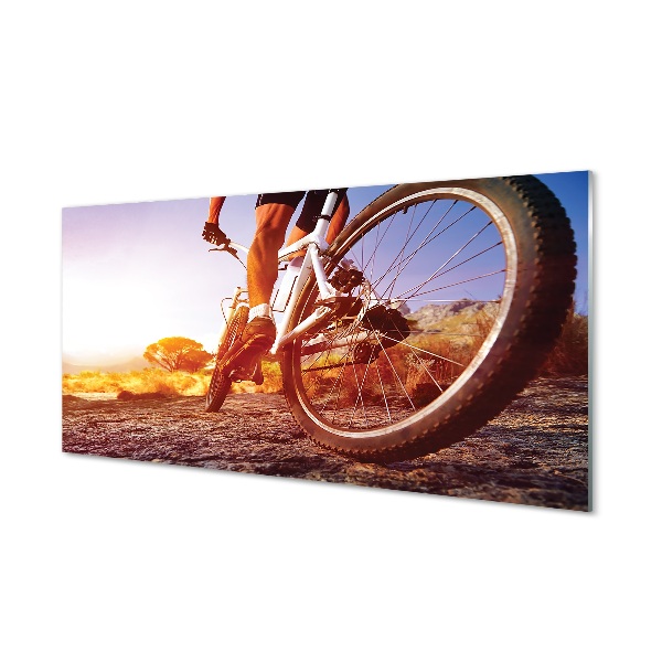 Glass print Mountain bike road west