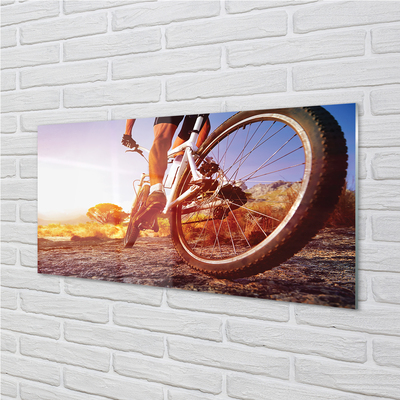 Glass print Mountain bike road west