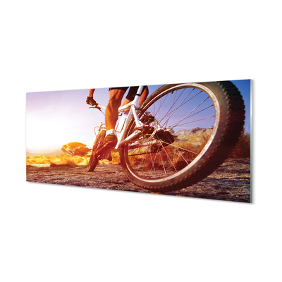 Glass print Mountain bike road west