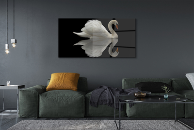 Glass print Swan at night