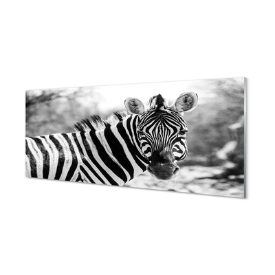 Glass print Zebra retro