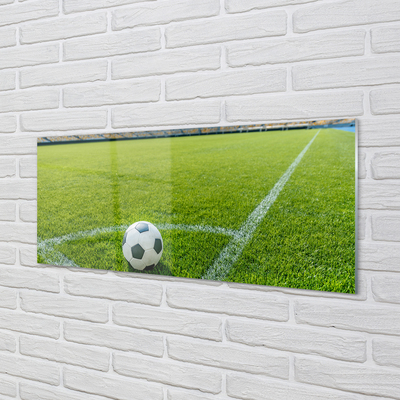 Glass print Football stadium grass