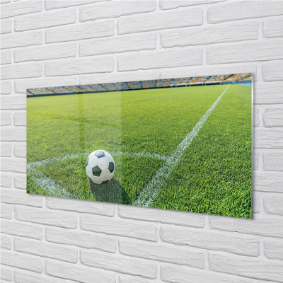 Glass print Football stadium grass