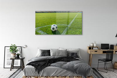 Glass print Football stadium grass