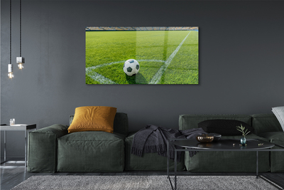 Glass print Football stadium grass