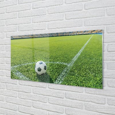 Glass print Football stadium grass