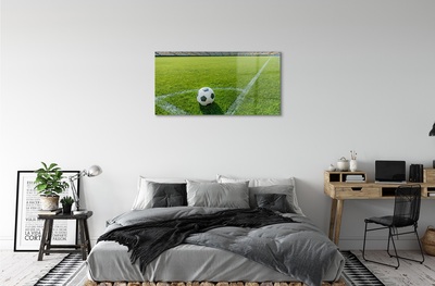 Glass print Football stadium grass