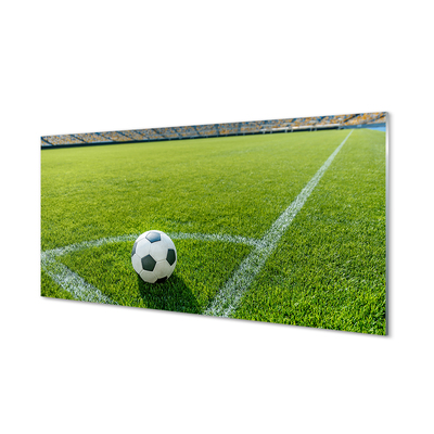 Glass print Football stadium grass