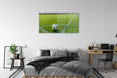 Glass print Football stadium grass