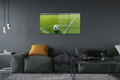 Glass print Football stadium grass