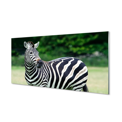 Glass print Zebra box