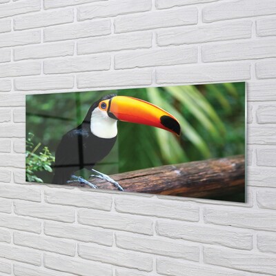 Glass print Toucan on a branch