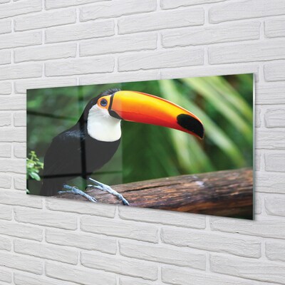 Glass print Toucan on a branch