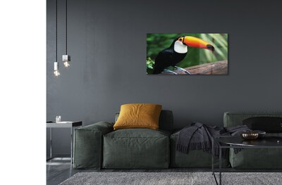 Glass print Toucan on a branch