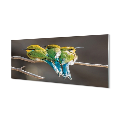 Glass print Birds on a branch