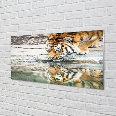 Glass print Tiger drink