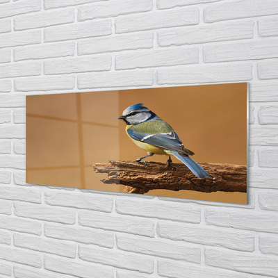 Glass print Bird