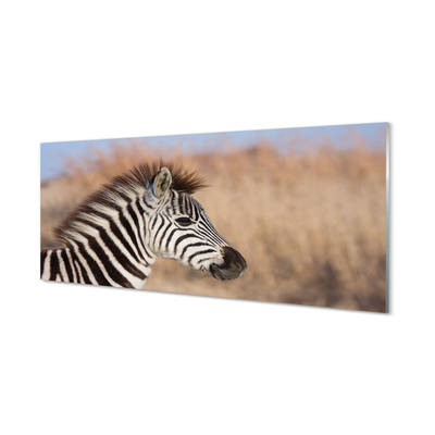 Glass print Zebra