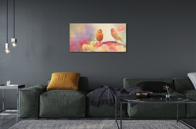 Glass print Colorful parrot