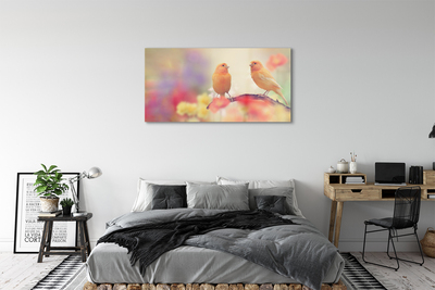 Glass print Colorful parrot