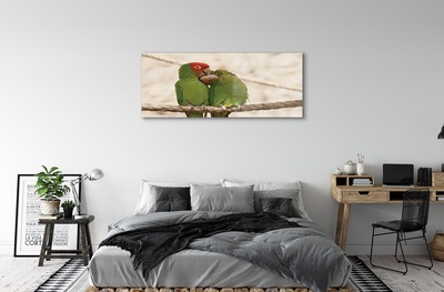 Glass print Green parrots