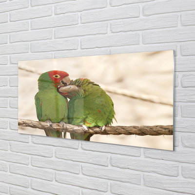 Glass print Green parrots