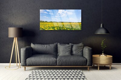Glass Print Dandelion meadow landscape yellow blue