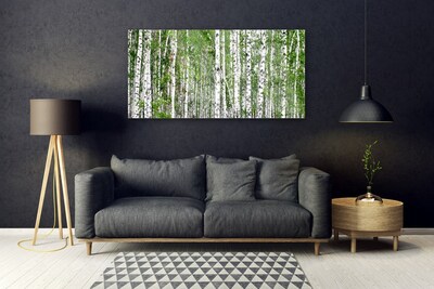 Glass Print Birch forest trees nature green white