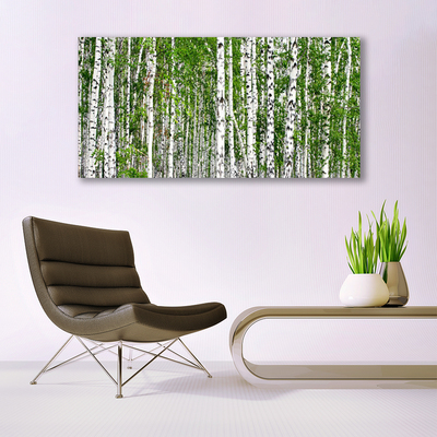 Glass Print Birch forest trees nature green white