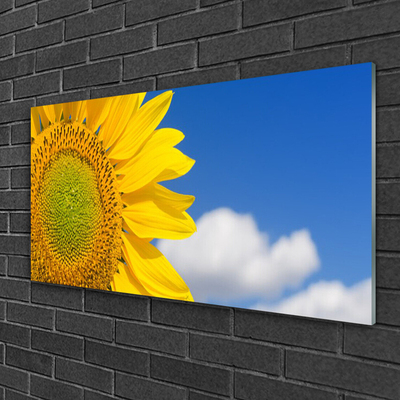 Glass Print Sunflower clouds floral yellow gold blue