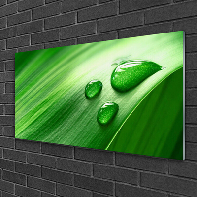 Glass Print Leaf water droplets floral green