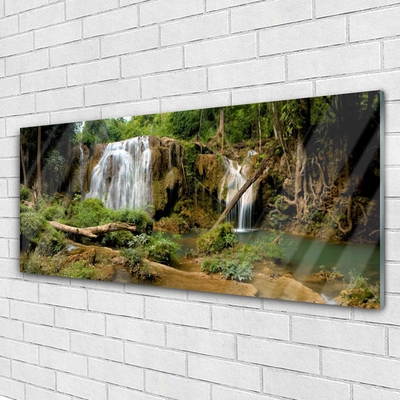 Glass Print Waterfall river forest nature green brown