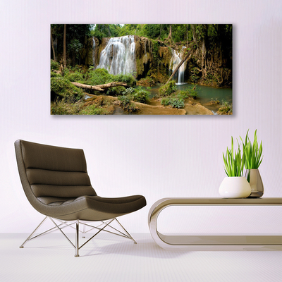 Glass Print Waterfall river forest nature green brown