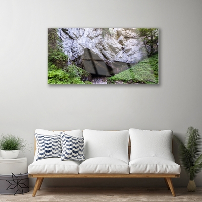 Glass Print Mountain cave nature green grey