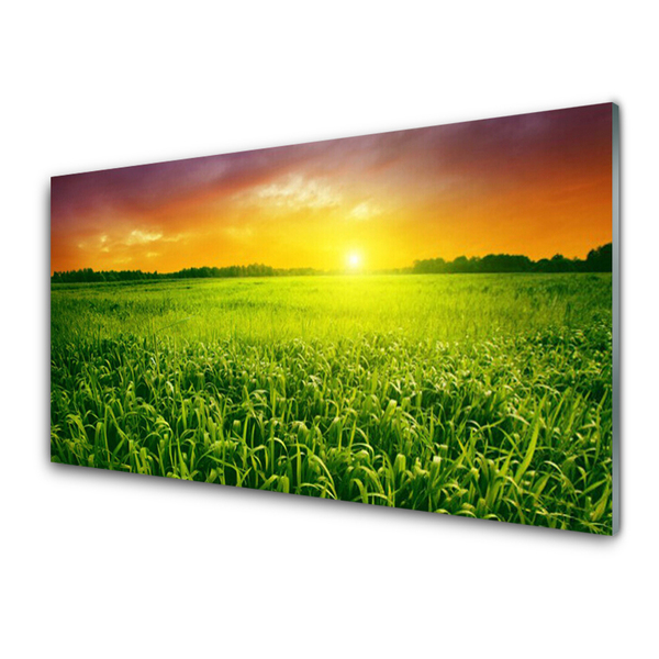 Glass Print Cereal field sunrise floral green red