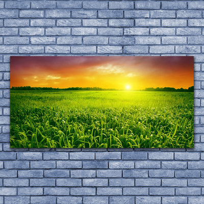 Glass Print Cereal field sunrise floral green red