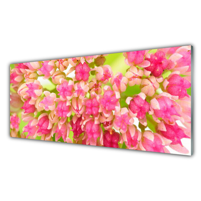 Glass Print Flower blossom floral pink